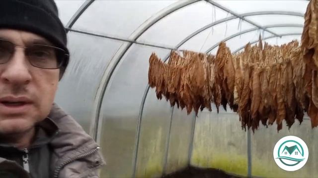 Утро в селе 20.11.2023 смотреть онлайн