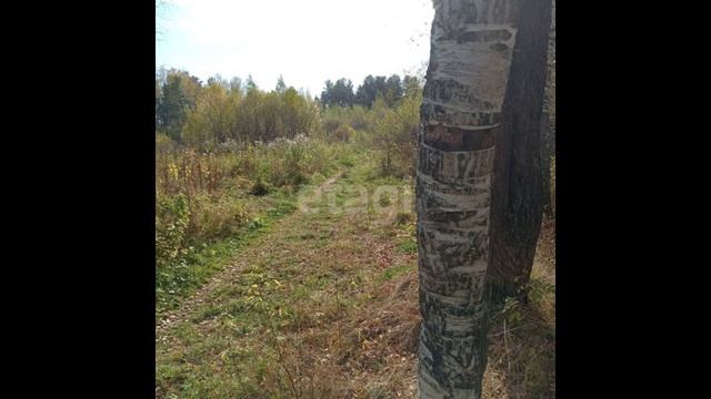 11509913 смотреть онлайн