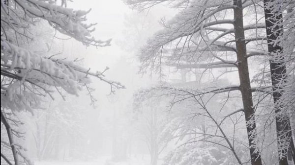 The Black Monk - Ветер (2024)