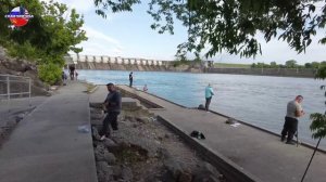 Рыбалка в Америке. Сезон открыт . Нашествие иммигрантов.