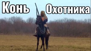 Какого коня брать под охоту? | Александр Обжерин