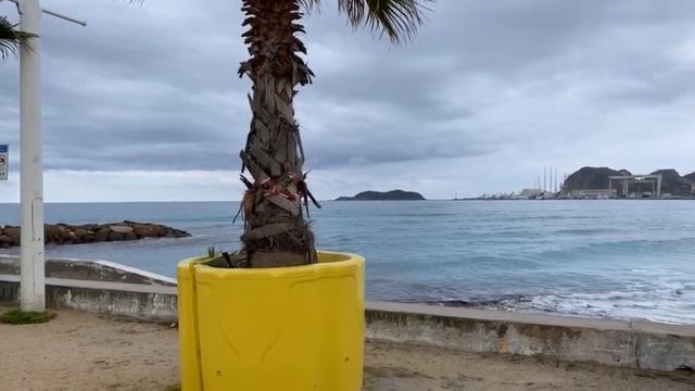 France. Provence. La Ciotat. смотреть онлайн