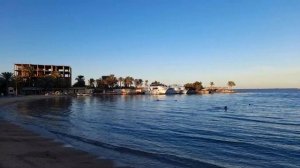 Hotel beach overview / Обзор пляжа гостиницы ZYA Regina Resort & Aqua Park 4* Египет Хургада