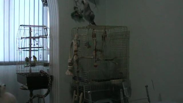 ЖАКО МОНЯ КРУТО РАЗМЫШЛЯЕТ (5) смотреть онлайн