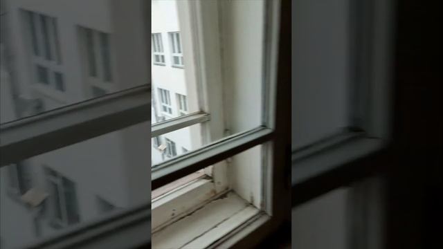 Нехорошая квартира 50. Государственный музей М.А. Булгакова. Москва. смотреть онлайн