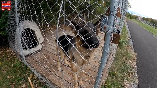 Как на самом деле живут русские иммигранты в США. Баня по-русски. Часть 3 смотреть онлайн