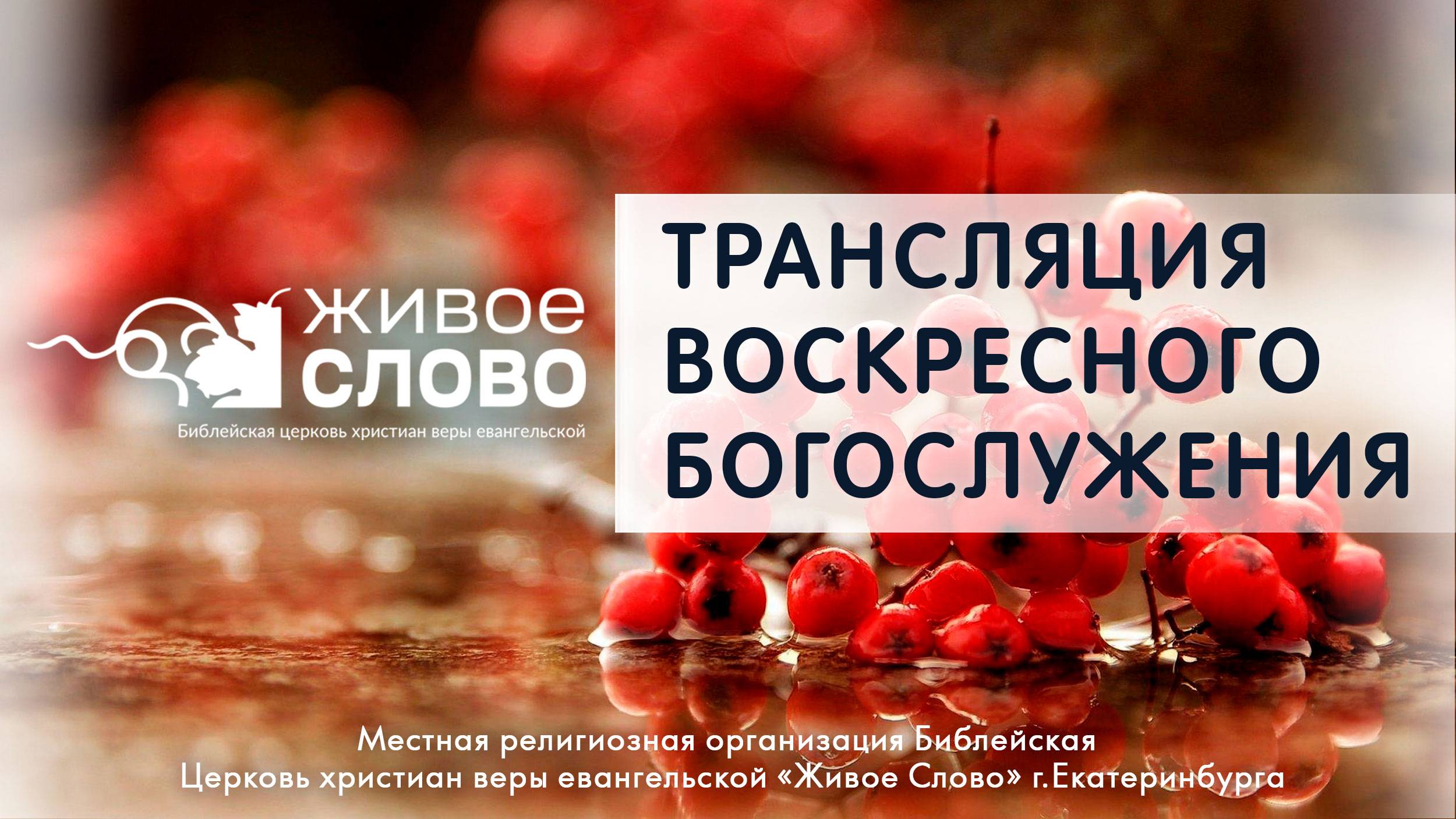 6 октября 2024 в 11:00 (ЕКБ) / Воскресное #богослужение / Церковь «Живое Слово» смотреть онлайн