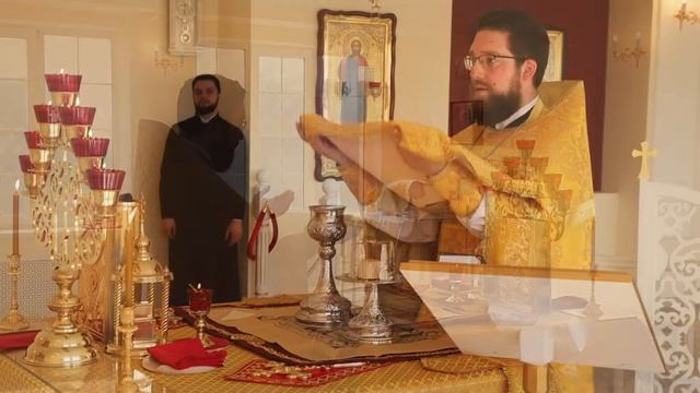 Домовый храм святителя Димитрия при Донской духовной семинарии смотреть онлайн