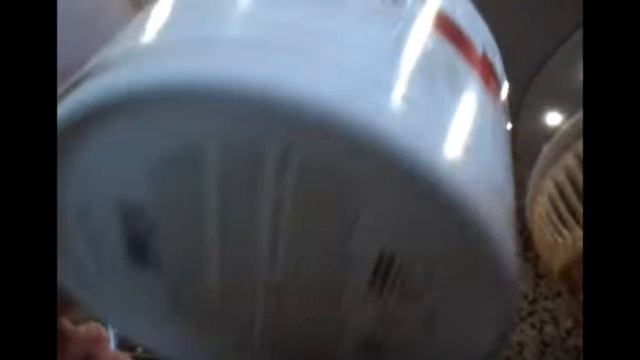 ФВ#6 - первый влог! смотреть онлайн