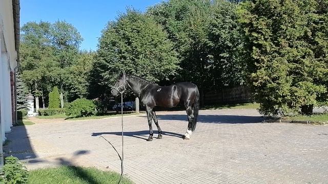 приятно погреться на солнышке_20230730_172219 смотреть онлайн