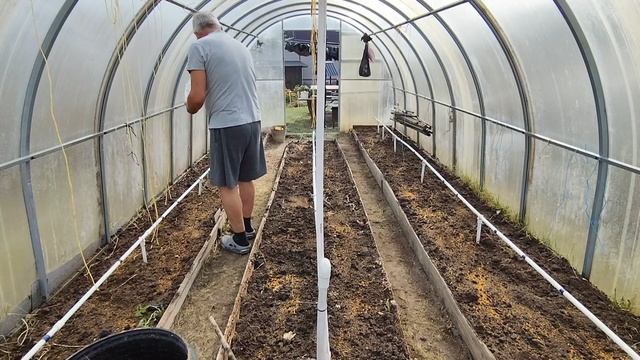 Подготовка Теплицы к Зиме. Сажаем Горчицу.