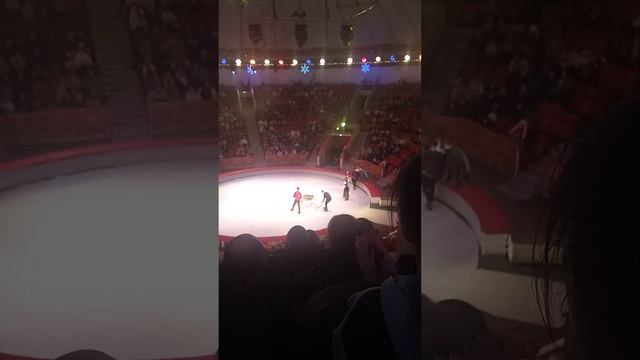 7 января 2024 г. смотреть онлайн