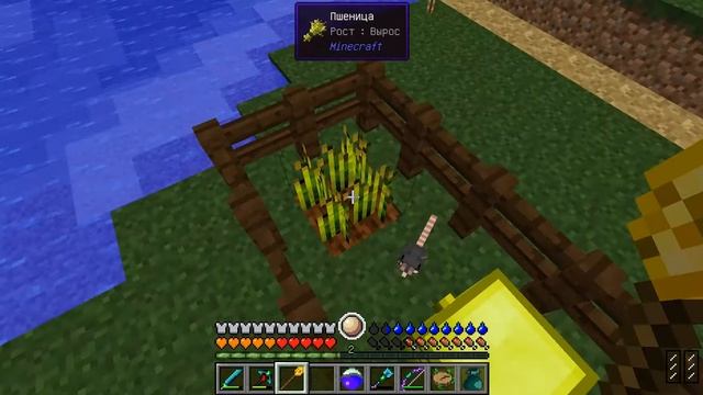 Lp. #Не_Наш_Мир #6 Это Самая Не Послушная Крыса В Майнкрафт! смотреть онлайн