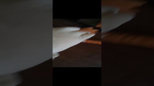гусь 12 часть мега серия! смотреть онлайн
