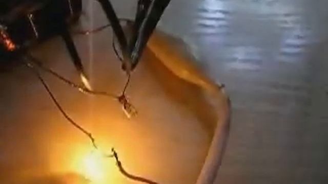 Зацаринин2.avi смотреть онлайн