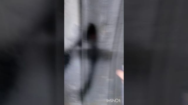 теггинг смотреть онлайн
