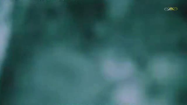 Булат Окуджава - Полночный троллейбус смотреть онлайн