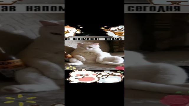 #Хорошо 🥰🥰🥰🥰Всё будет хорошо 🥰🥰🥰Ещё загуяем👍🙏🙏🙏🙏💃💃💃💃💃 смотреть онлайн