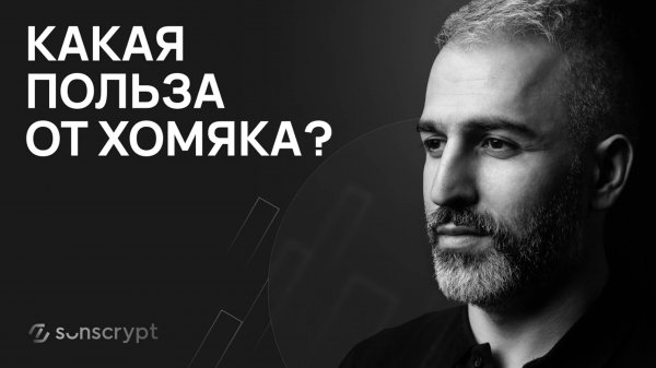 Hamster Combat и TON: руководство по входу в мир криптовалют