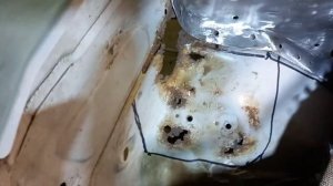 ЭТО УЖАС КАКОЙ. СЛАБЫЕ СТАКАНЫ НА Nissan X Trail