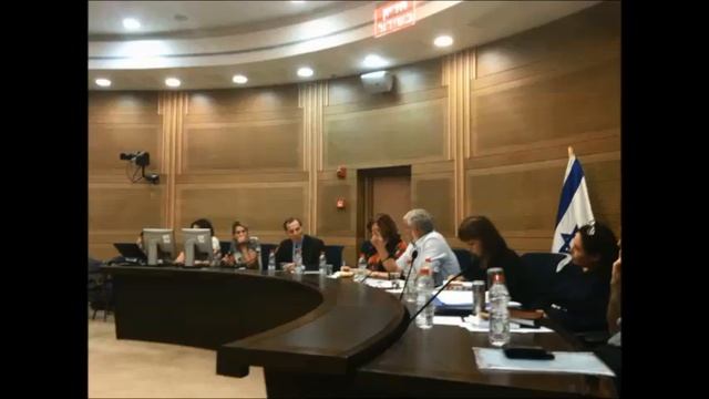 דברי בועז ארד בועדת החינוך בנושא חוק הספרים смотреть онлайн