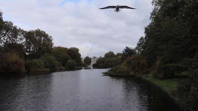 ВЛОГ:Переехала в Лондон! Адаптация, о расставании с семьей и много красивого города! смотреть онлайн