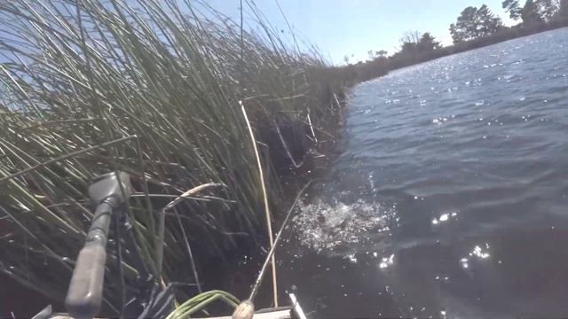 Fishing With Marten! Pvt. Pond Near Santa Cruz