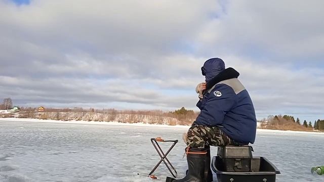 Вместо рыбы поймал ëлку😂😂😂 смотреть онлайн