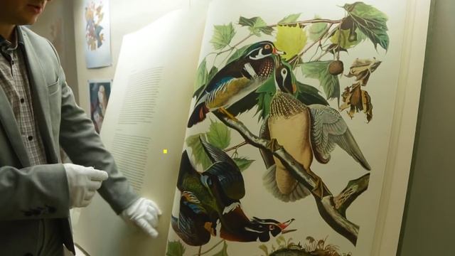 Velcom. 1000 музеяў Беларусі. Музей кнігі Нацыянальнай бібліятэкі Беларусі