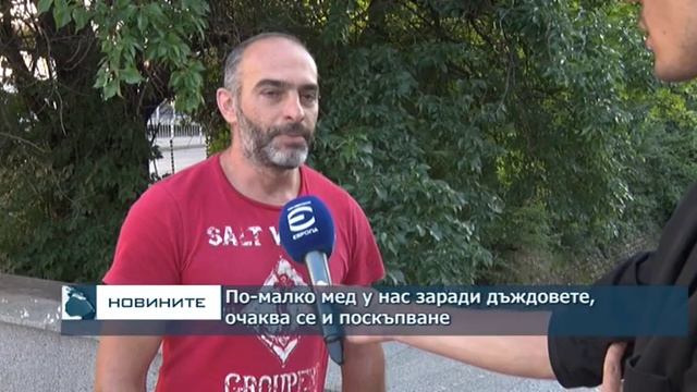 По-малко мед у нас заради дъждовете, очаква се и поскъпване смотреть онлайн