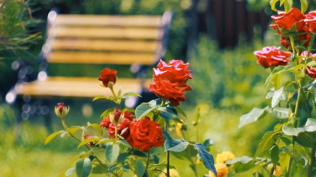 ЭДГАР ТУНИЯНЦ--Я СКУЧАЮ ПО ТЕБЕ.--ГДЕ ТЫ--Я ДУМАЮ О ВАС.--РОМАНС О ЛЮБВИ--Самая&Galina смотреть онлайн