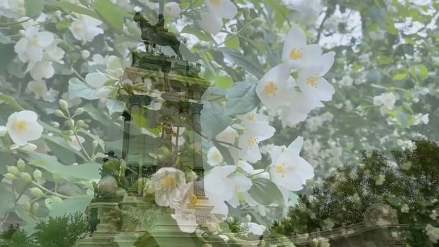 Travel Vlog Madrid, Spain 2022 | Top places to visit смотреть онлайн