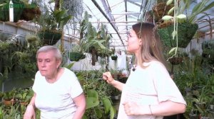 У нас гости из Санкт-Петербурга. Поговорим о тилландсии.