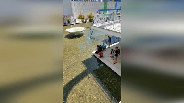 Сиэтл. Тихоокеанский научный центр. Часть 1. смотреть онлайн