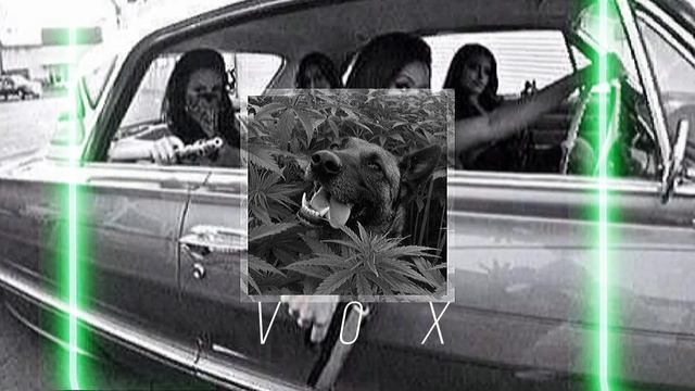 ⛓С̸к̸р̸и̸п̸т̸о̸н̸и̸т̸/Т̸а̸т̸и̸—̸П̸р̸и̸г̸л̸а̸ш̸е̸н̸и̸е̸ н̸а̸ 𝔾𝕒𝕫𝕘𝕠𝕝𝕕𝕖𝕣𝕃𝕚𝕧𝕖🌵{𝕤𝕝𝕠𝕨𝕖𝕕 𝕣𝕖𝕧𝕖𝕣𝕕 𝕓𝕒𝕤𝕤} смотреть онлайн