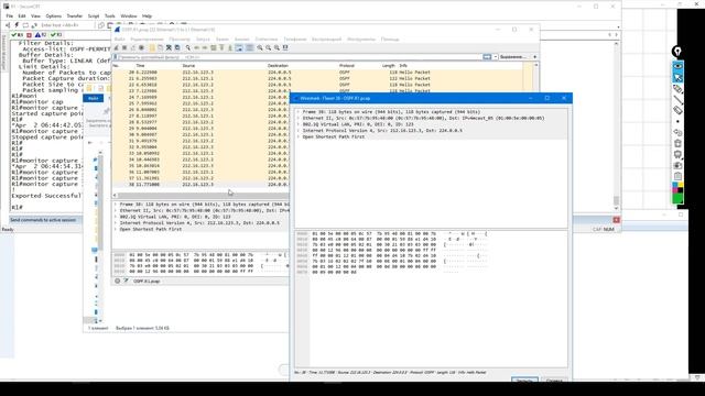 1.2 OSPF. Установление соседства. INIT смотреть онлайн