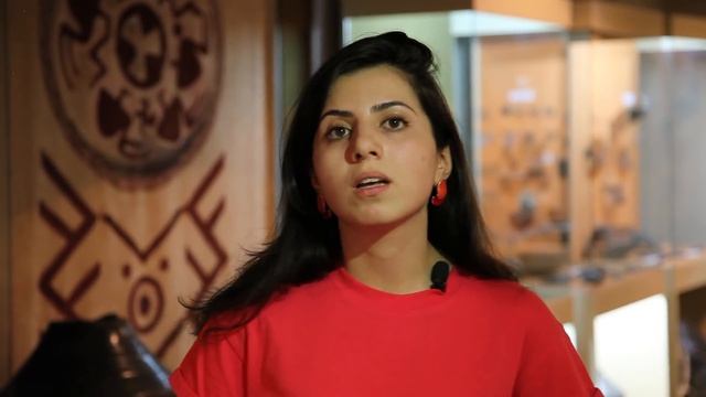 О Шенгавитском поселении, о Культуре Шенгавита