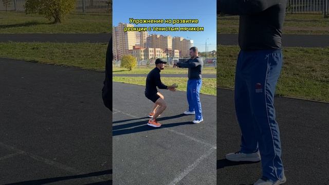 Упражнение - развитие реакции с теннисным мячом #boxing #спорт #fitness #sports #бокс #фитнесс #mma смотреть онлайн