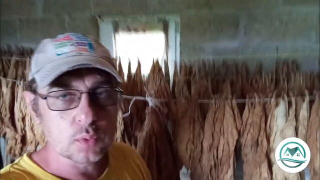 Выпуск #16 Ответ на вопрос. #табак смотреть онлайн