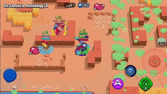 Мортис Нуллс