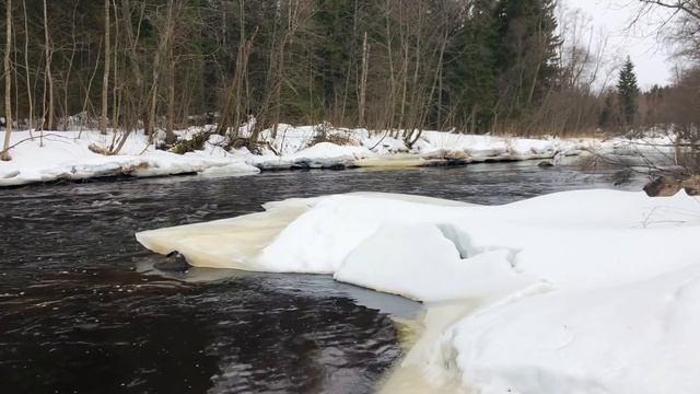 #44. Жжём Марфушу, вместе с Ксюшей! Первый розыгрыш на канале! [Жизнь на своей земле] смотреть онлайн