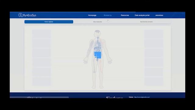 SynEcoSys: Online Demo смотреть онлайн