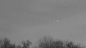 Гуф & Rigos    Паразит 2014 клип