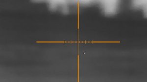 GUIDE TR450 табун кабанов. охота тепловизор