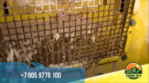 Промыв гальки / Галька оптом