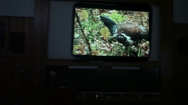 Доклад С. П. Кирпичева 26.01.2012 смотреть онлайн