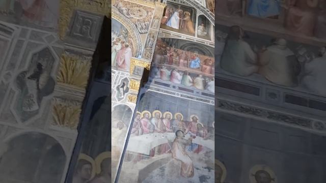 Il ciclo di Giusto de' Menabuoi nel Battistero di Padova смотреть онлайн