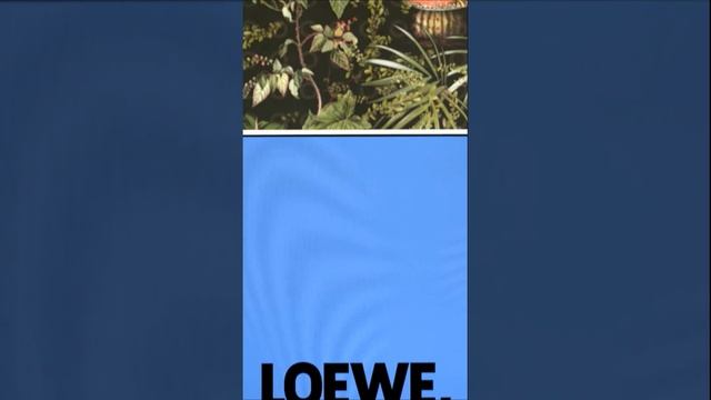 Это джунгли, а там — лев (LOEWE) смотреть онлайн