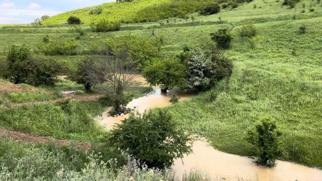 Эндирей юртум смотреть онлайн