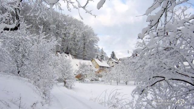 BERNWARD KOCH - Ice Flowers(relaxing music) смотреть онлайн